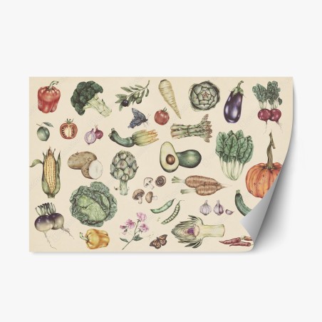 Sticker repositionnable illustration botanique de légumes au style vintage – Wallnifity®