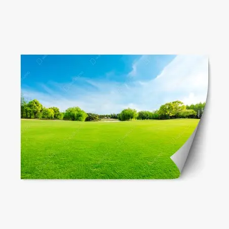 Sticker repositionnable prairie verdoyante au printemps – Wallnifity®