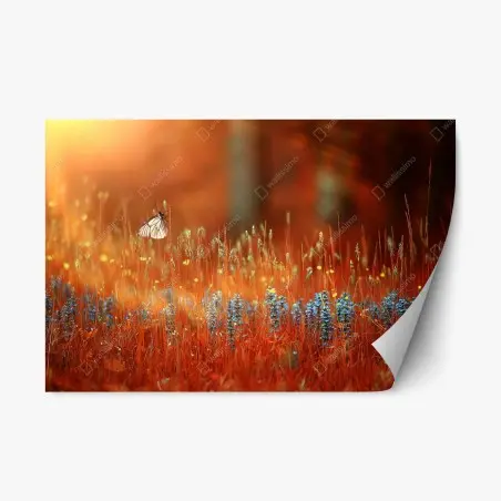 Sticker repositionnable papillon sur fleurs sauvages au coucher de soleil – Wallnifity®