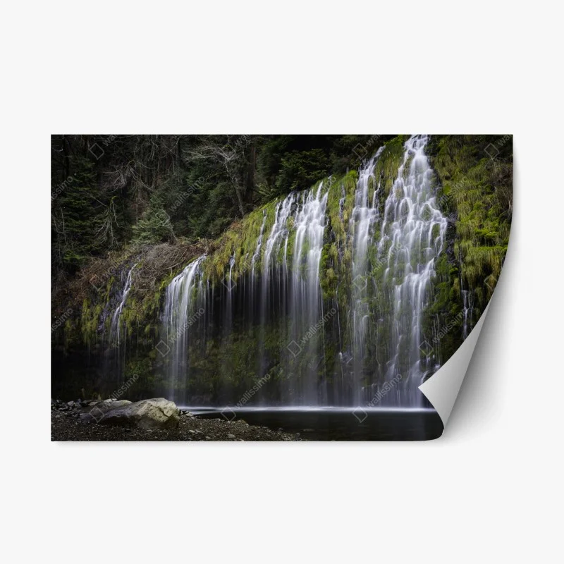 Nature – Wallnifity®