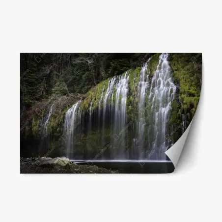 Sticker repositionnable cascade moussu en forêt – Wallnifity®