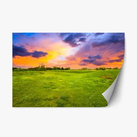 Sticker repositionnable coucher de soleil sur prairie verdoyante – Wallnifity®