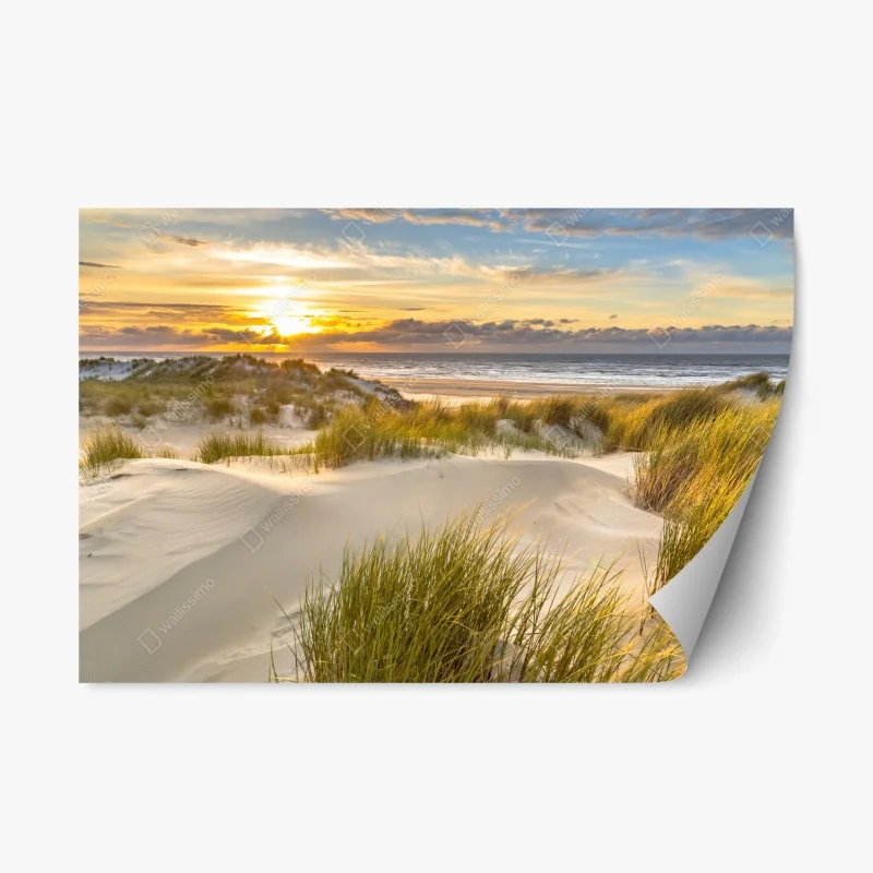Nature – Wallnifity®