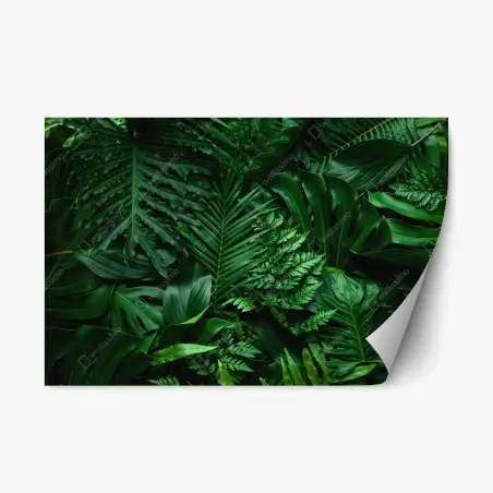 Sticker repositionnable jungle de feuilles luxuriantes – Wallnifity®