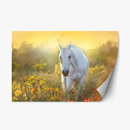Sticker repositionnable cheval blanc dans un champ de coquelicots au lever du soleil – Wallnifity®