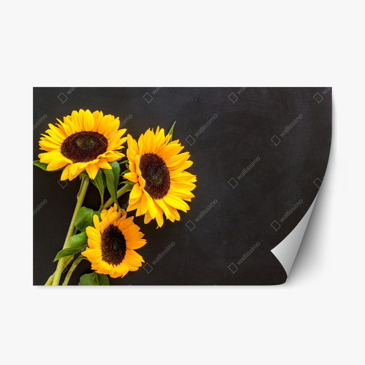 Sticker repositionnable bouquet de tournesols sur fond noir – Wallnifity®