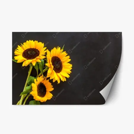Sticker repositionnable bouquet de tournesols sur fond noir – Wallnifity®