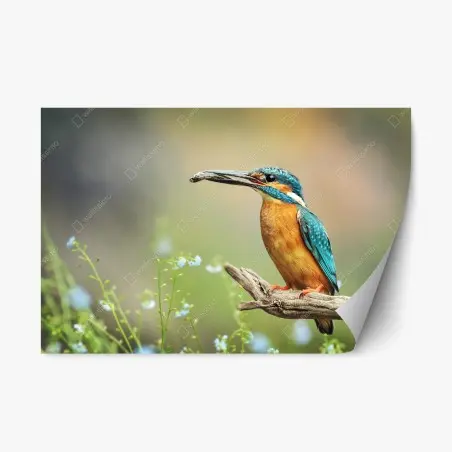 Sticker repositionnable martin-pêcheur bleu-orange sur branche – Wallnifity®
