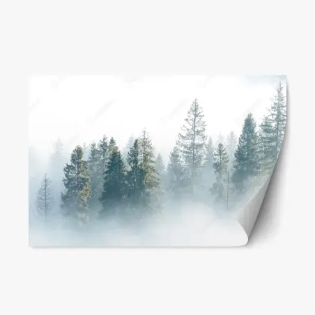 Sticker repositionnable brume matinale sur la forêt de sapins – Wallnifity®