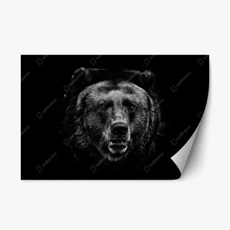 Sticker repositionnable portrait d'ours brun en clair-obscur – Wallnifity®