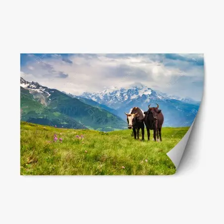 Sticker repositionnable scène pastorale dans les alpages – Wallnifity®