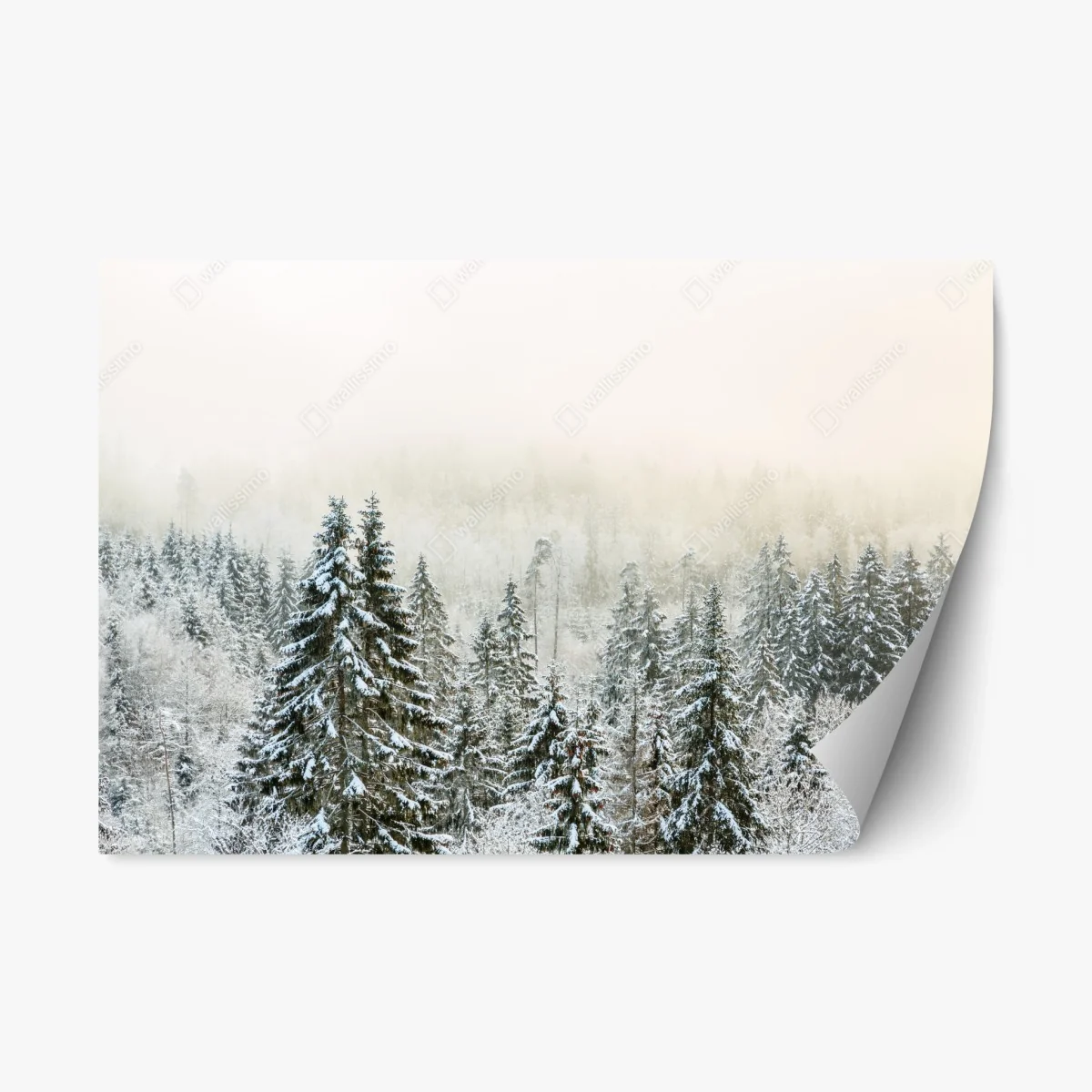 Sticker repositionnable forêt enneigée et brumeuse – Wallnifity® Sticker repositionnable forêt enneigée et brumeuse – Wallnifity®