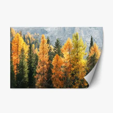 Sticker repositionnable forêt de mélèzes aux couleurs dorées – Wallnifity®
