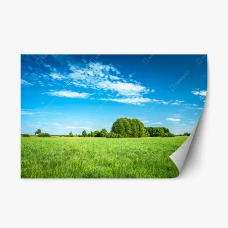 Sticker repositionnable paysage de prairie sous ciel bleu – Wallnifity®