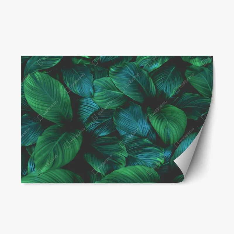Stickers repositionnables – Wallnifity®