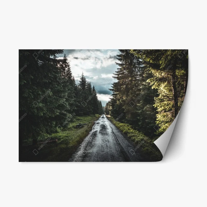 Nature – Wallnifity®