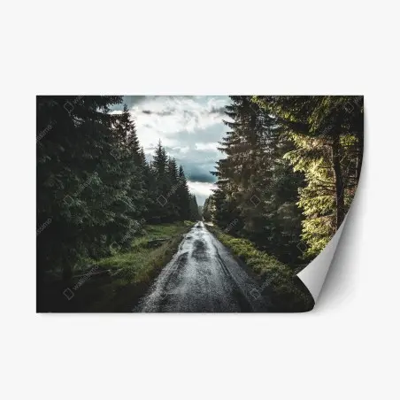 Sticker repositionnable route forestière sous ciel dramatique – Wallnifity®