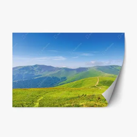 Sticker repositionnable panorama estival des collines de la Transcarpathie, Ukraine – Wallnifity®