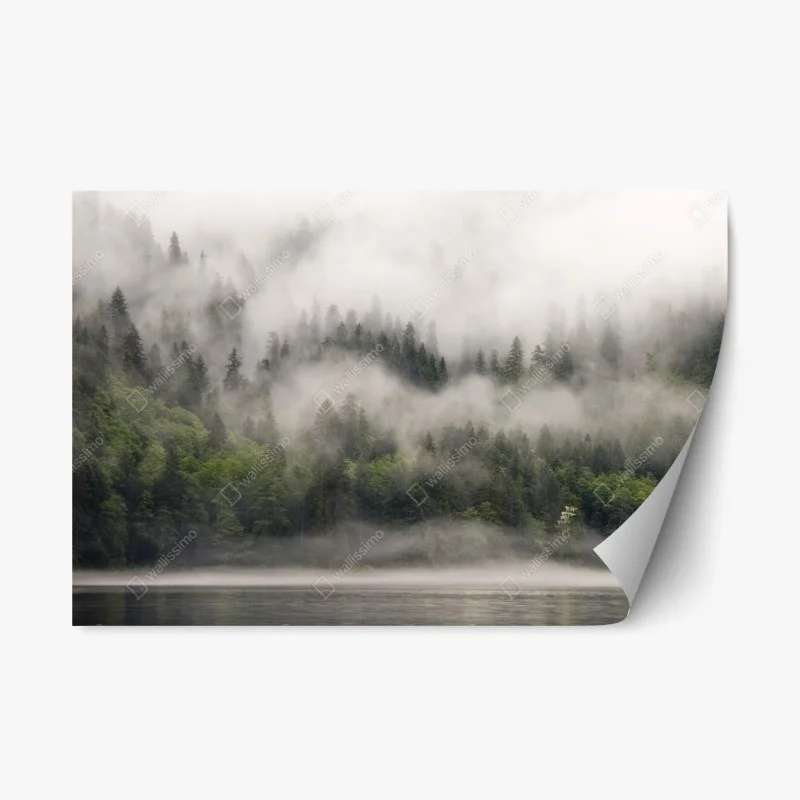 Nature – Wallnifity®