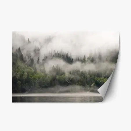 Sticker repositionnable brume enveloppante dans la forêt de Colombie-Britannique – Wallnifity®