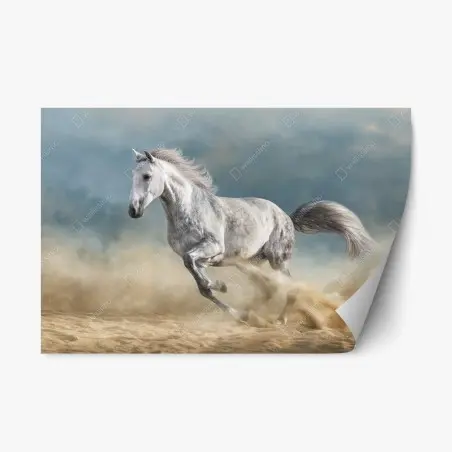 Sticker repositionnable cheval gris en plein galop – Wallnifity®