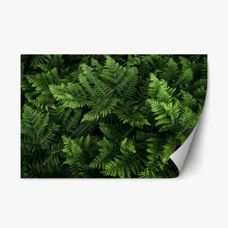 Sticker repositionnable motif fougères luxuriantes pour décoration murale – Wallnifity®