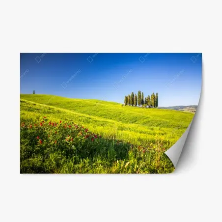 Sticker repositionnable évasion Toscane: collines verdoyantes et cyprès – Wallnifity®