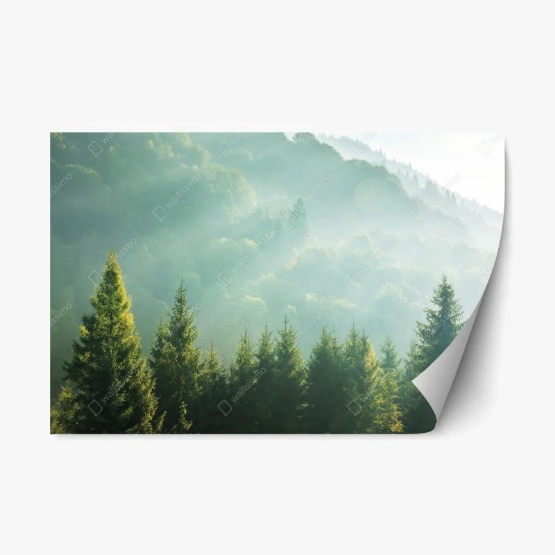 Nature – Wallnifity®