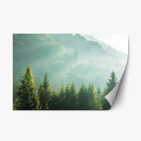 Sticker repositionnable brume matinale sur sapins – Wallnifity®