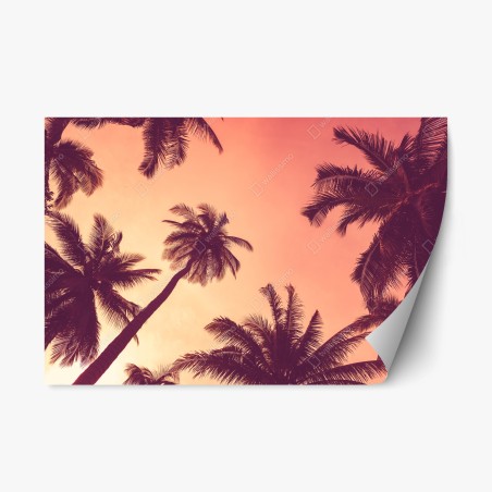 Sticker repositionnable paradis tropical au crépuscule – Wallnifity®