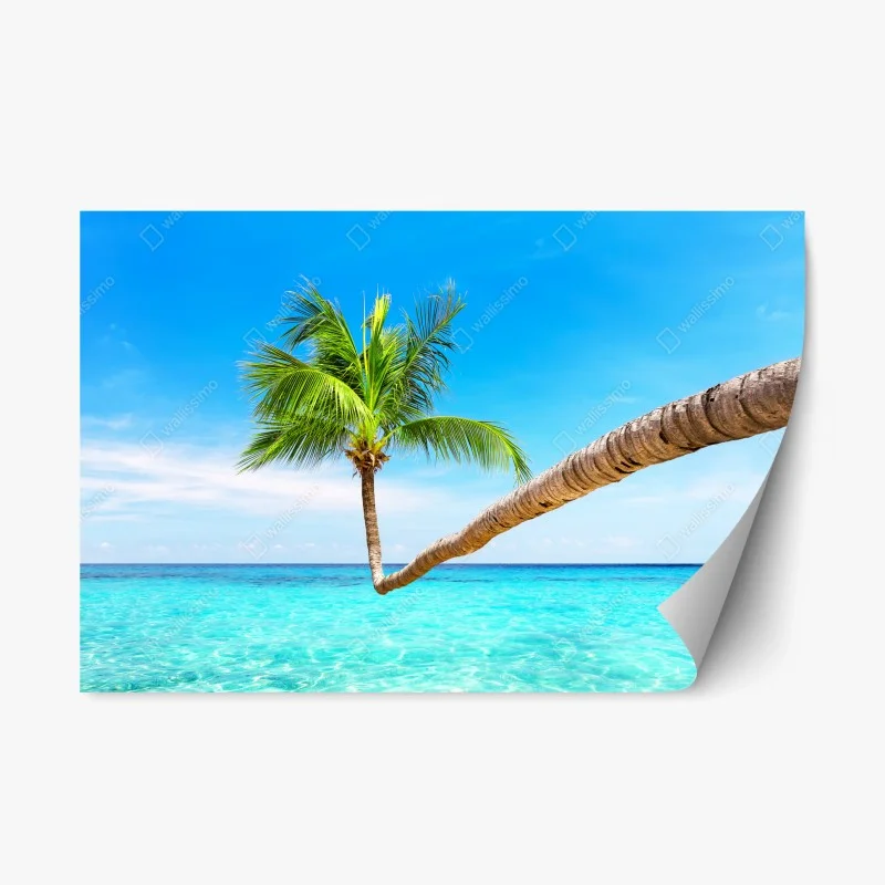 Nature – Wallnifity®