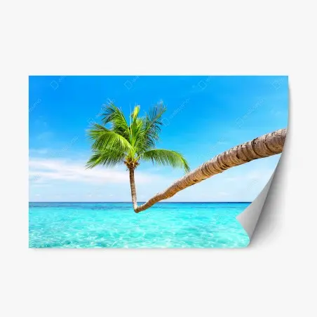 Sticker repositionnable paradis tropical à Punta Cana – Wallnifity®