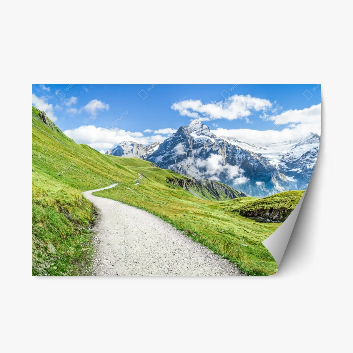 Sticker repositionnable sentier alpin sinueux vers les Alpes enneigées – Wallnifity® Sticker repositionnable sentier alpin sinueux vers les Alpes enneigées – Wallnifity®