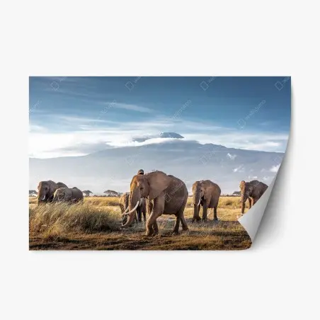 Sticker repositionnable troupeau d'éléphants devant le Kilimandjaro – Wallnifity®