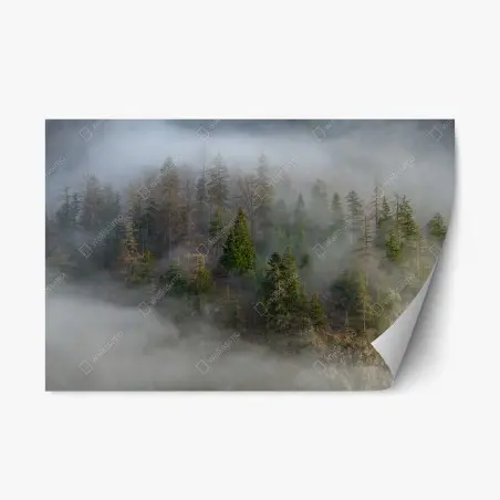 Sticker repositionnable forêt brumeuse sur flanc de montagne – Wallnifity®