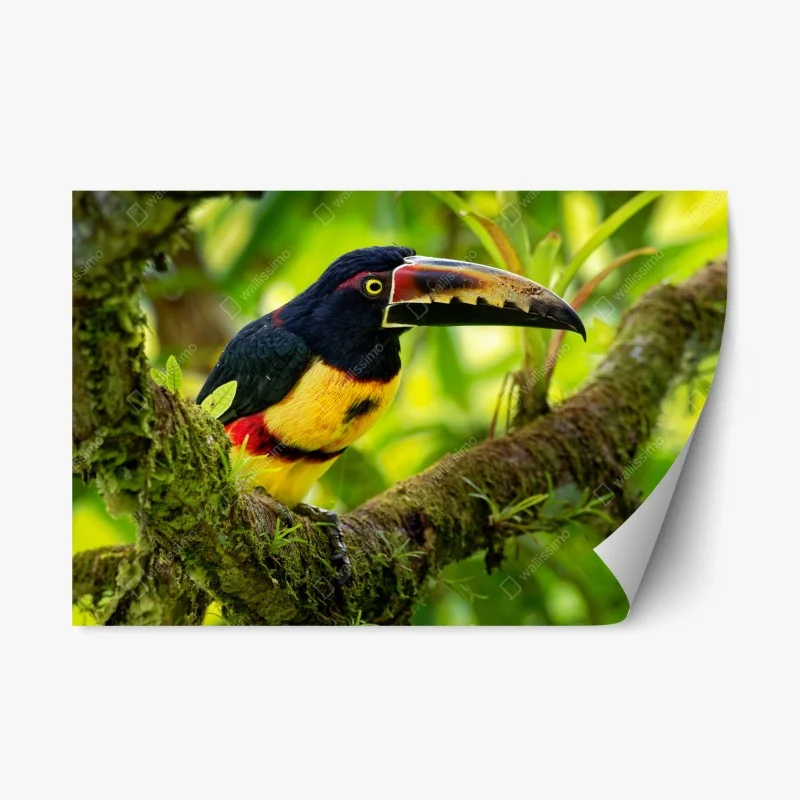 Stickers repositionnables – Wallnifity®