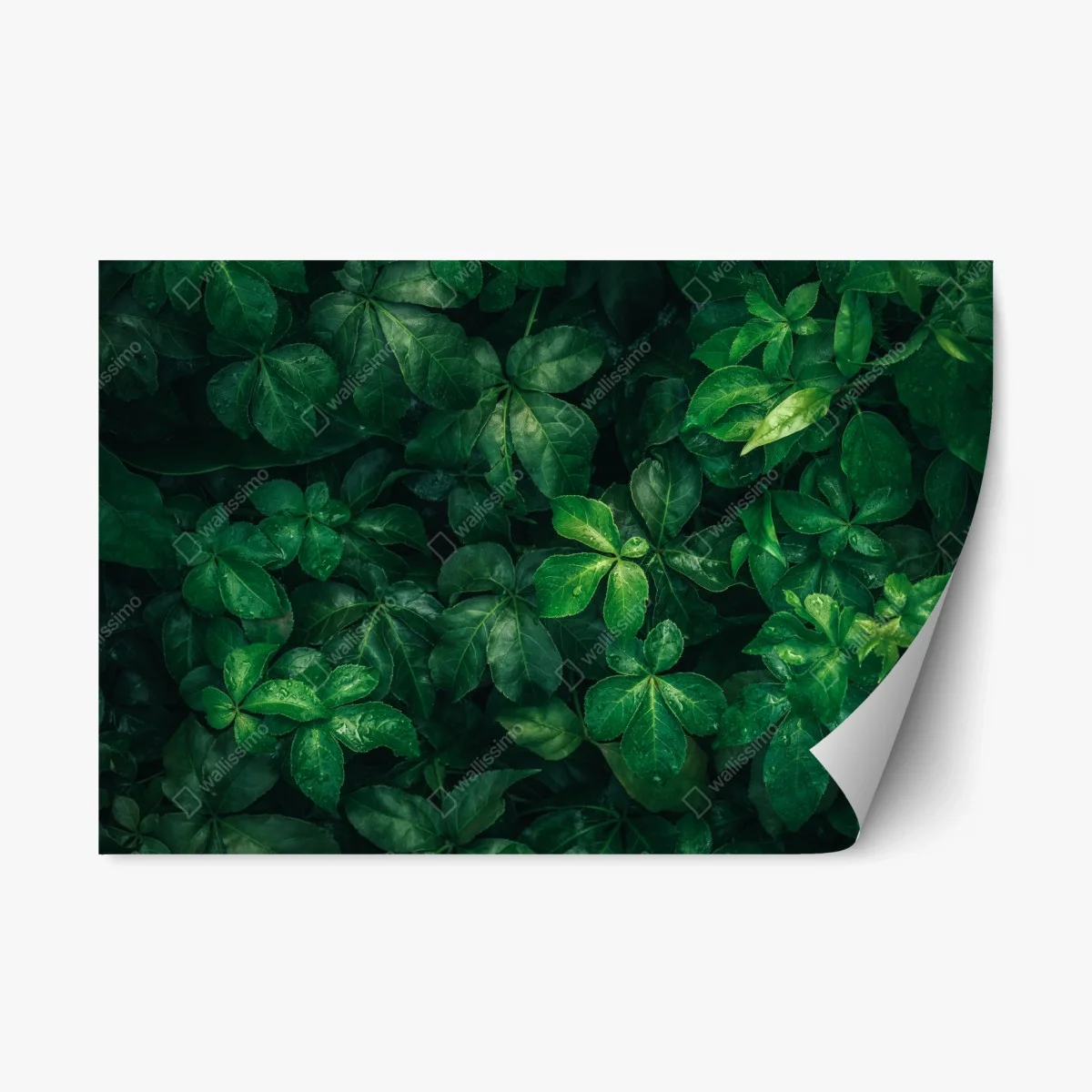 Sticker repositionnable canopée verte luxuriante – Wallnifity® Sticker repositionnable canopée verte luxuriante – Wallnifity®