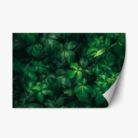 Sticker repositionnable canopée verte luxuriante – Wallnifity®