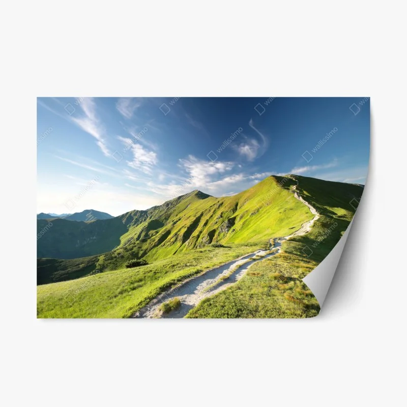 Nature – Wallnifity®