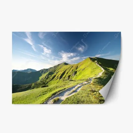 Sticker repositionnable sentier de montagne verdoyant – Wallnifity®