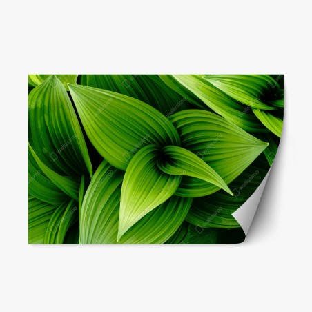 Sticker repositionnable feuillage vert luxuriant pour décoration murale – Wallnifity®
