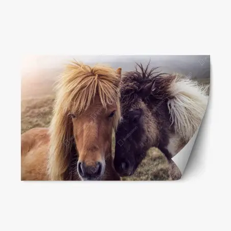 Sticker repositionnable chevaux féroïens dans la brume, Îles Féroé – Wallnifity®