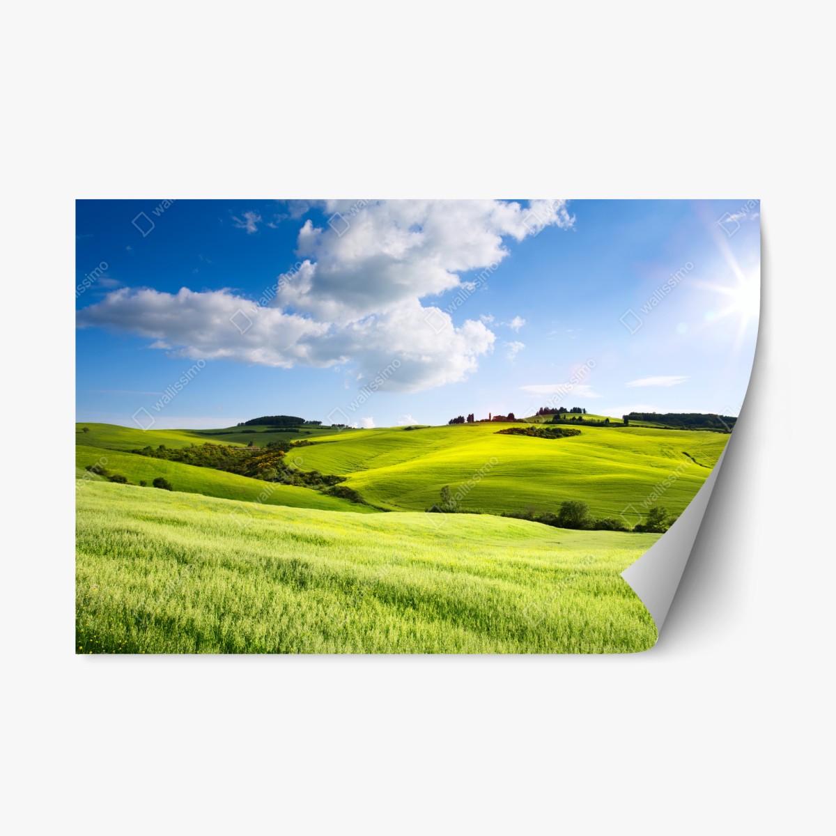 Sticker repositionnable douceur des collines de Toscane en lumière dorée – Wallnifity®