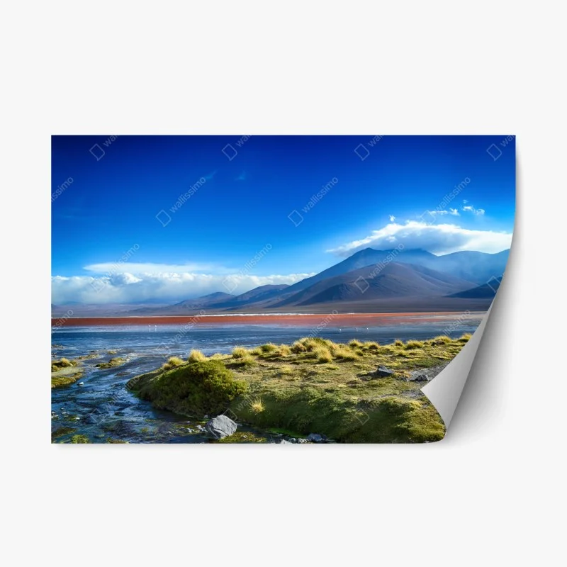Nature – Wallnifity®