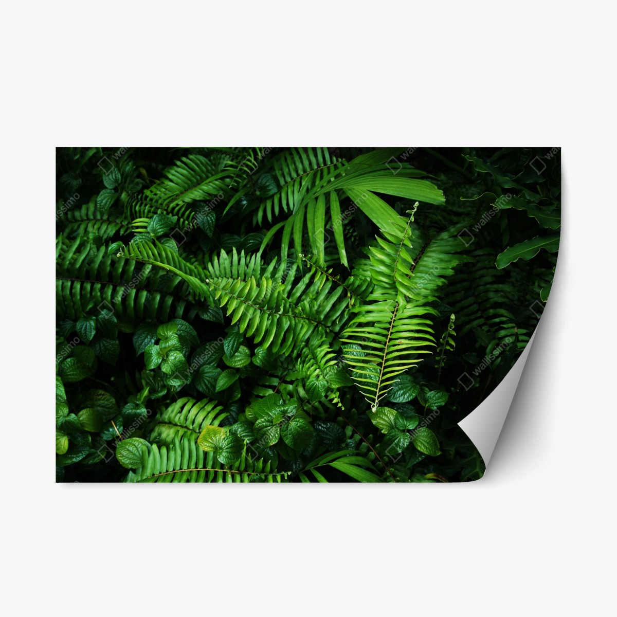 Sticker repositionnable jardin vertical tropical luxuriant – Wallnifity®