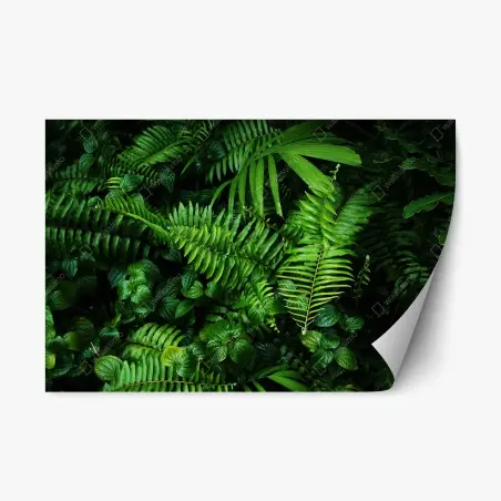 Sticker repositionnable jardin vertical tropical luxuriant – Wallnifity®