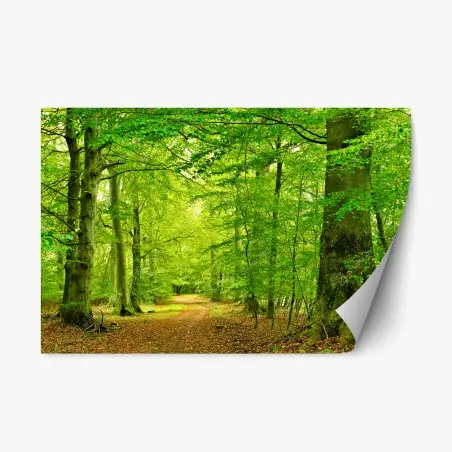 Sticker repositionnable chemin forestier verdoyant au cœur du sous-bois – Wallnifity®