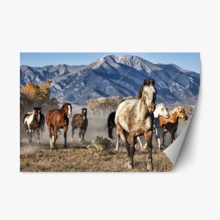Sticker repositionnable troupeau de chevaux à Zapata Ranch, Colorado – Wallnifity®