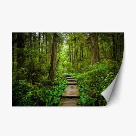 Sticker repositionnable sentier en planches à travers une forêt verdoyante – Wallnifity®