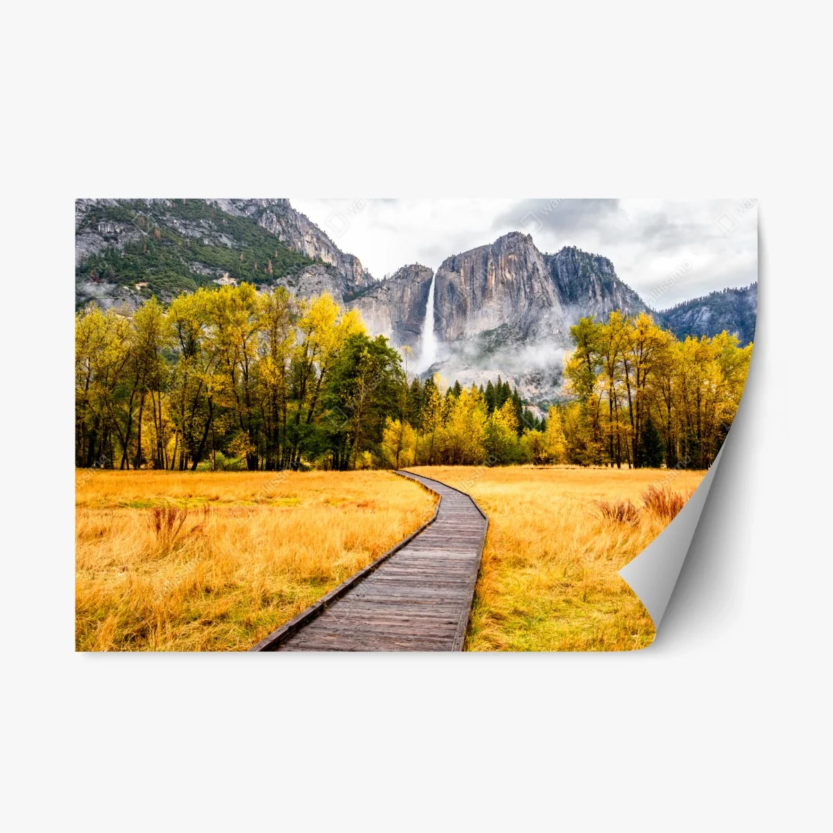 Sticker repositionnable sentier d'automne vers la cascade – Wallnifity® Sticker repositionnable sentier d'automne vers la cascade – Wallnifity®